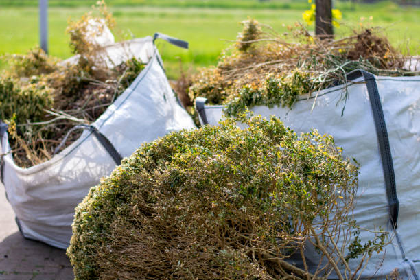 Best Dumpster Rental Services  in Newport Beach, CA